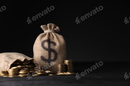 Preview: Bags with dollar sign and coins on dark background, space for text