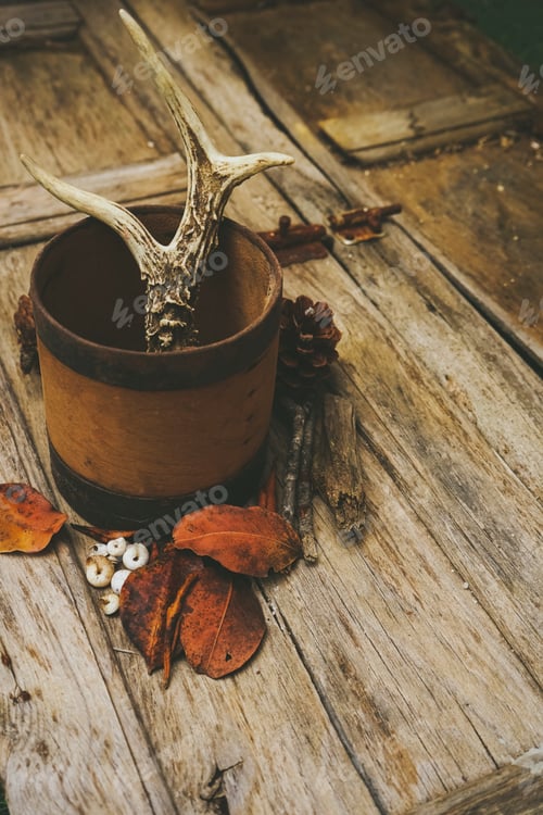 Preview: Rustic still life background with wild and forest stuff