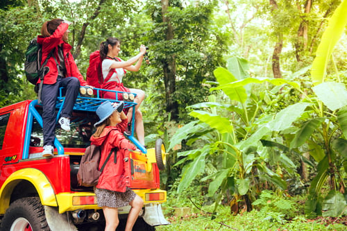 Preview: asian young travellers with 4WD drive car off road in forest, young couple looking for directions.