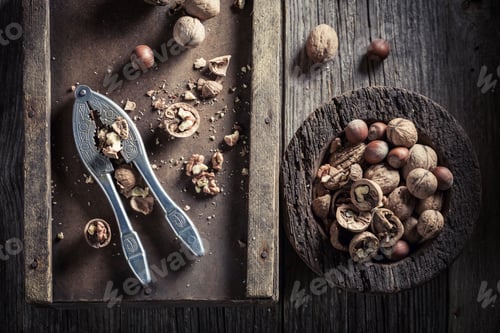Preview: Hazelnuts and walnuts with with old nutcracker