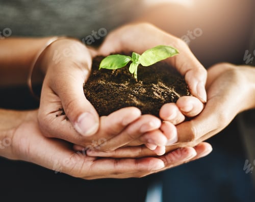 Preview: Growth comes through commitment and care