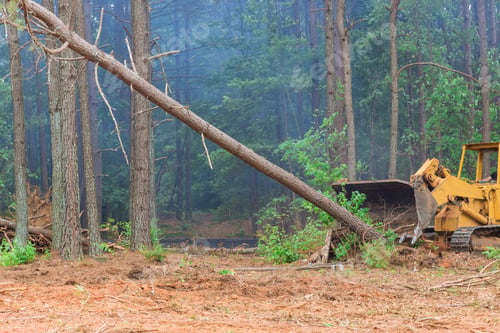 Preview: A tractor is working to prepare the land for new house construction while trees are uprooted and
