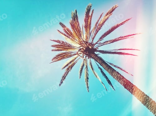Preview: Abstract palm tree against blue sky background with trendy glitch and light leak effect