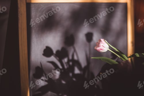 Preview: Beautiful pink and purple tulips in light room with reflection on blackboard