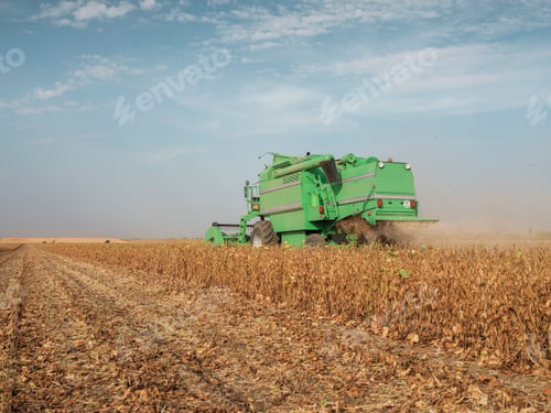 Preview: Serbia, Vojvodina, Combine harvester in soybean field