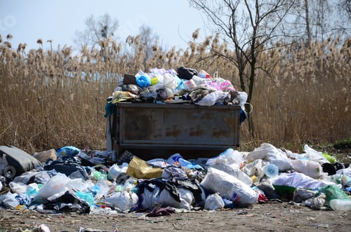 Preview: The garbage can is packed with garbage and waste. Untimely removal of garbage in populated areas
