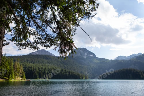 Preview: Mountain landscape, Durmitor National Park, Montenegro. Beautiful view of the lake in a forest