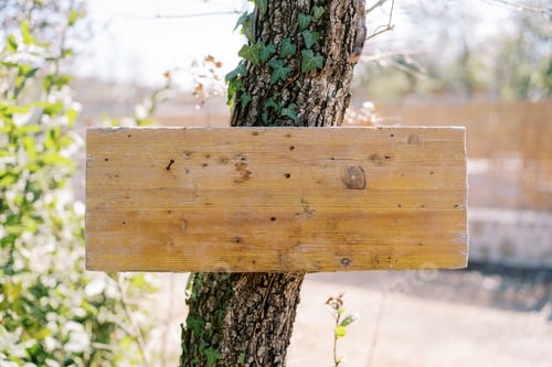 Preview: Blank wooden sign hanging on a tree in the park