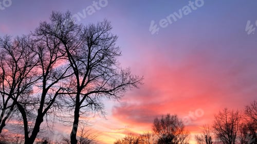 Preview: Relaxing sky view, beautiful pink sunset