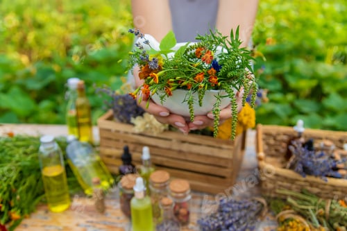 Preview: Medicinal herbs and natural tinctures. Selective focus.
