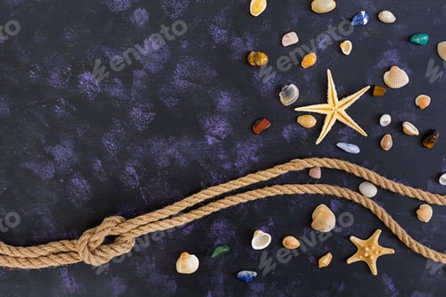 Preview: Seashell, starfish and rope on dark background. Top view