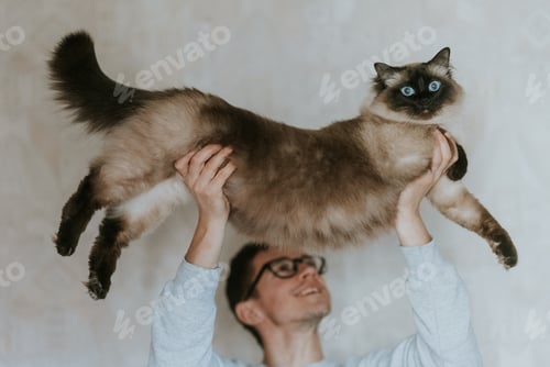 Preview: Young man rising the cat above his head