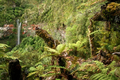 Preview: Tongariro National Park, New Zealand