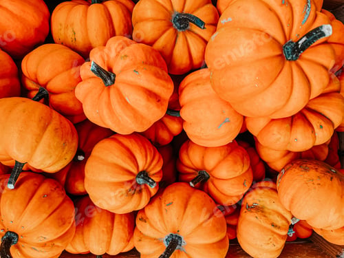 Preview: Pumpkins