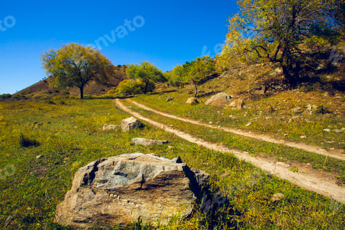 Preview: Grassland scenery