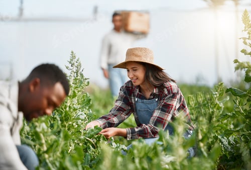 Visualização: Todo mundo adora cuidar do jardim verde. Foto de uma jovem cuidando de plantações em uma fazenda.