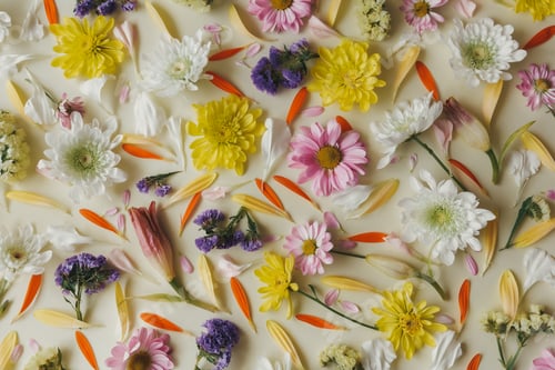 Preview: Bright creative spring flowers on a light background, Flat lay, mockup with top view. Valentines day