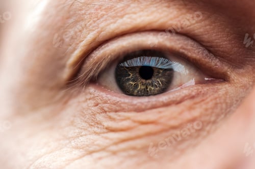 Preview: close up view of senior man eye with eyelashes and eyebrow looking at camera