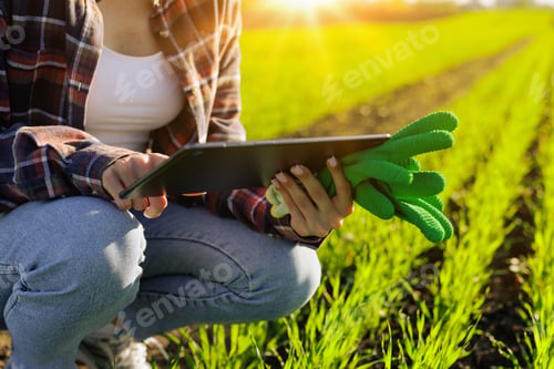 Preview: young female farmer with a tablet in her hands examines the green field