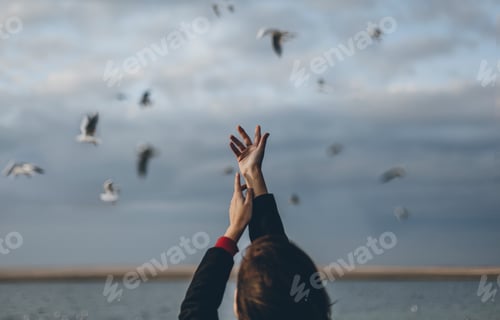 Preview: sky