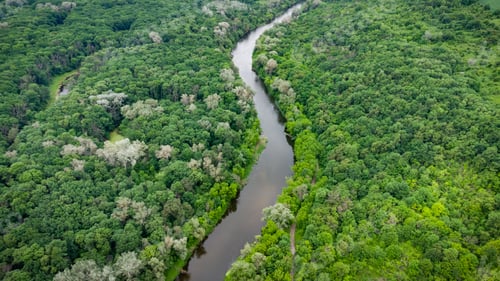 Preview: Aerial view over the river which is on the green forest.