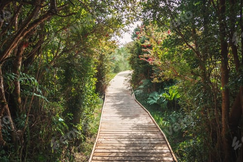 Preview: Sendero Playa footpath at Chiloe National Park - Chiloe Island, Chile