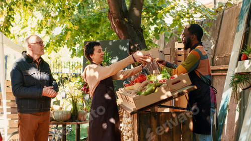 Preview: Team of diverse vendors giving box filled with organic fruits and vegetables