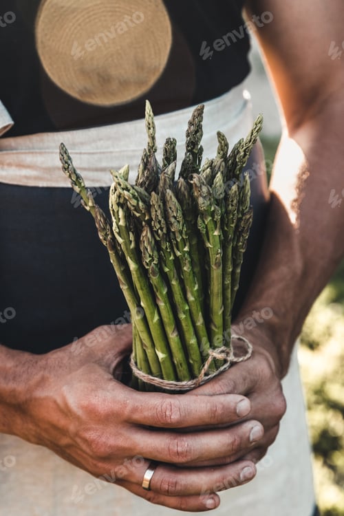 Preview: Green asparagus kept in men's hands