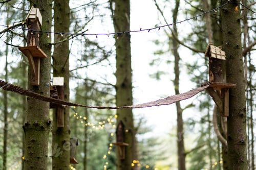 Preview: Wooden bird houses and fairy lights in a tree, decorations for a woodland ceremony