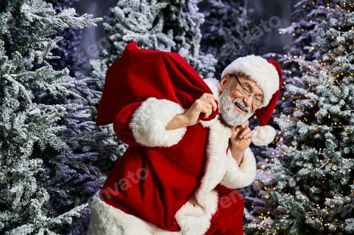 Preview: Santa Claus joyfully prepares his gifts among the shimmering snow covered trees