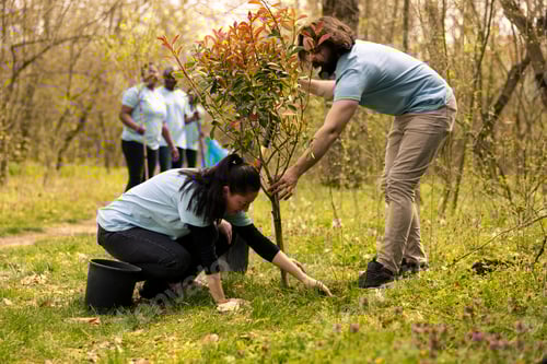 Preview: Team of environmentalist taking action to preserve natural habitat