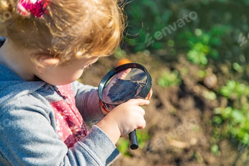 Preview: Children examine the soil with a magnifying glass. Selective focus.