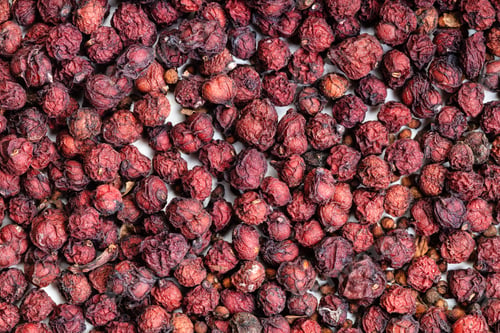 Preview: background - dried magnolia berries