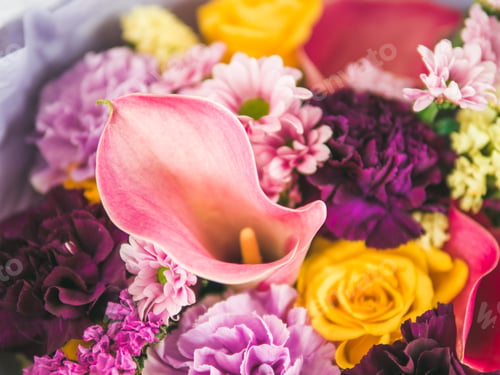 Preview: Extreme close up lilac bouquet with calla