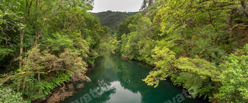 Preview: Fragas do Eume Natural Park, Pontedeume, Spain