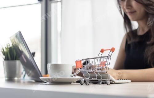 Preview: woman or wife house holding card for buying and paying for order at Shopping Cart