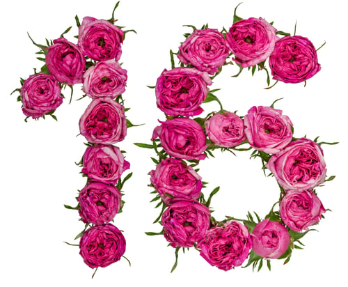 Preview: Arabic numeral 16, sixteen, from red flowers of rose, isolated on white background