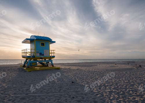 Preview: Miami summer view in the city