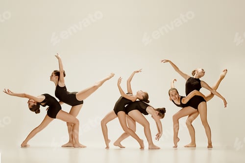 Preview: The group of modern ballet dancers