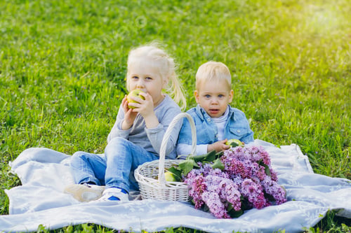 Preview: Two Little Children Brother And Sister Sitting On Summer Meadow In The Apple Orchard. The Concept