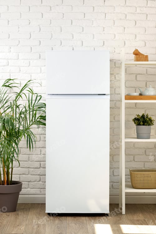 Preview: Clean White Refrigerator with Green Plant and Shelf