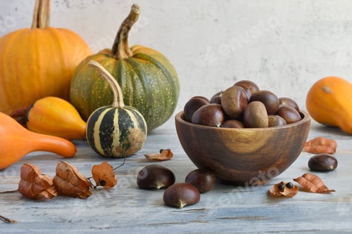Preview: Pumpkins and chestnuts on a table