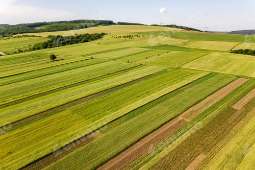 Preview: Aerial view of green agricultural fields in spring with fresh vegetation after seeding season