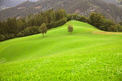 Preview: Green summer field of Slovenia.
