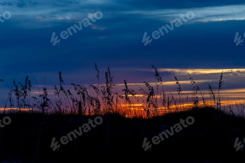 Preview: Scenic view of grass in a field at a cloudy sunset