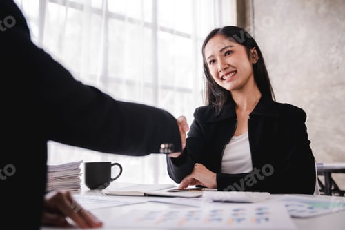 Preview: business partner handshake concept Colleagues shaking hands Successful deal after a great meeting. B