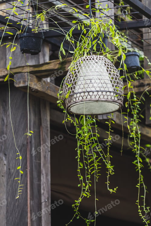 Preview: Old beautiful handmade wicker lamp hanging outside in garden on tree