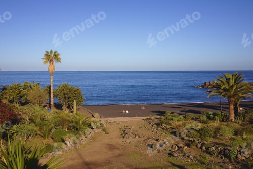 Preview: Coastline with tropical palm trees during daytime