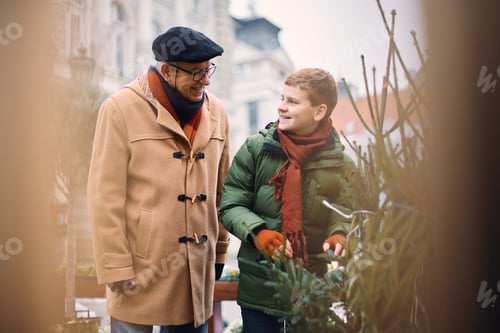 Preview: Happy grandfather and grandson buying Christmas tree on the market.