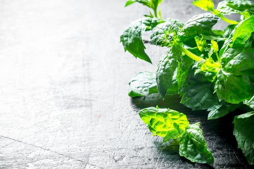 Preview: Fragrant fresh mint.